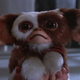 Gizmo just wants love (Photo: screencap)